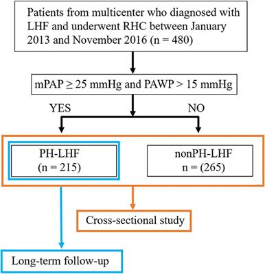 The prevalence and survival of pulmonary hypertension due to left heart failure: A retrospective analysis of a multicenter prospective cohort study